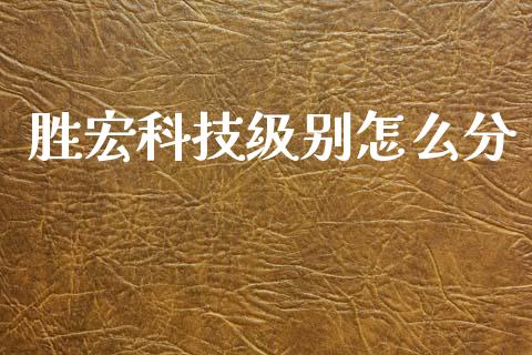 胜宏科技级别怎么分_https://cj007.lansai.wang_金融监管_第1张