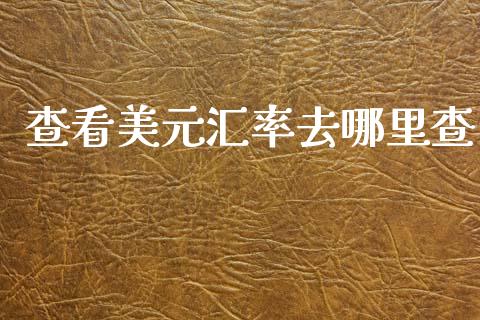 查看美元汇率去哪里查_https://cj007.lansai.wang_期货开户_第1张