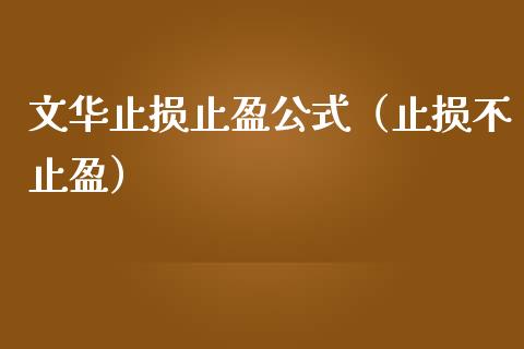 文华止损止盈公式（止损不止盈）_https://cj007.lansai.wang_债券资讯_第1张