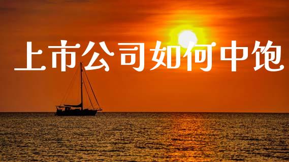 上市公司如何中饱_https://cj007.lansai.wang_外汇交易_第1张
