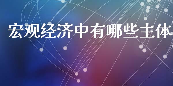 宏观经济中有哪些主体_https://cj007.lansai.wang_外汇交易_第1张