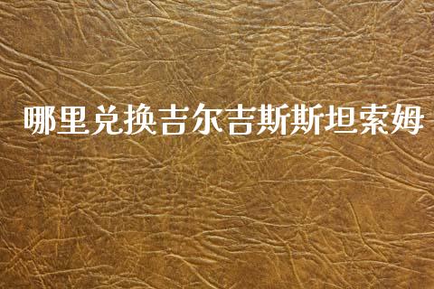 哪里兑换吉尔吉斯斯坦索姆_https://cj007.lansai.wang_外汇交易_第1张