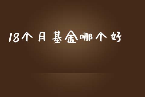 18个月基金哪个好_https://cj007.lansai.wang_期货开户_第1张