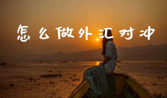 怎么做外汇对冲_https://cj007.lansai.wang_金融监管_第1张