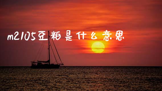 m2105豆粕是什么意思_https://cj007.lansai.wang_外汇交易_第1张