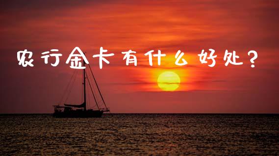 农行金卡有什么好处?_https://cj007.lansai.wang_期货开户_第1张