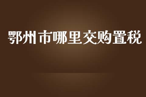 鄂州市哪里交购置税_https://cj007.lansai.wang_债券资讯_第1张