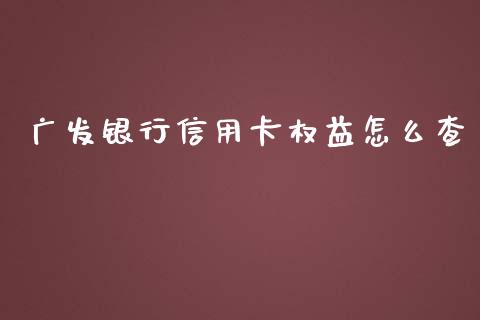广发银行信用卡权益怎么查_https://cj007.lansai.wang_财经新闻_第1张