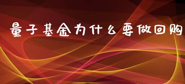 量子基金为什么要做回购_https://cj007.lansai.wang_外汇交易_第1张