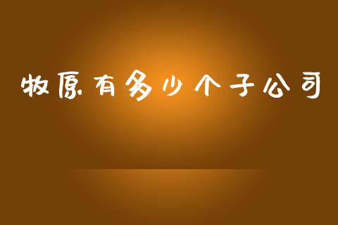 牧原有多少个子公司_https://cj007.lansai.wang_财经新闻_第1张