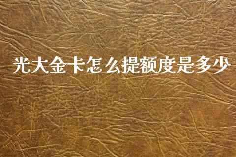 光大金卡怎么提额度是多少_https://cj007.lansai.wang_金融监管_第1张