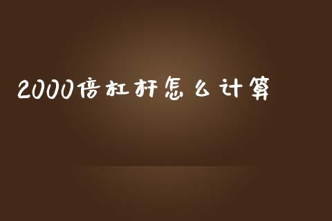 2000倍杠杆怎么计算_https://cj007.lansai.wang_债券资讯_第1张