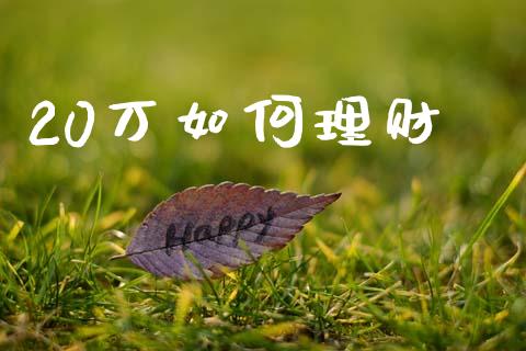 20万如何理财_https://cj007.lansai.wang_期货开户_第1张