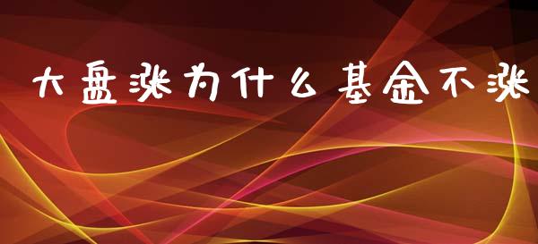 大盘涨为什么基金不涨_https://cj007.lansai.wang_财经新闻_第1张