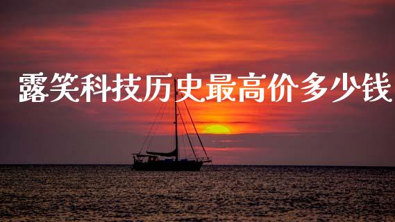 露笑科技历史最高价多少钱_https://cj007.lansai.wang_财经新闻_第1张