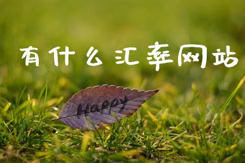 有什么汇率网站_https://cj007.lansai.wang_财经新闻_第1张