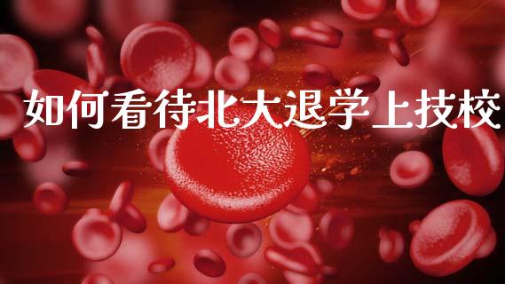如何看待北大退学上技校_https://cj007.lansai.wang_外汇交易_第1张