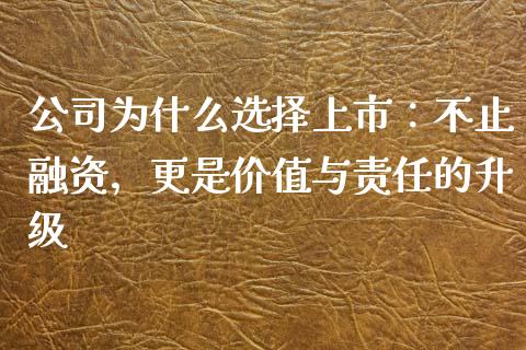 公司为什么选择上市：不止融资，更是价值与责任的升级_https://cj007.lansai.wang_期货开户_第1张