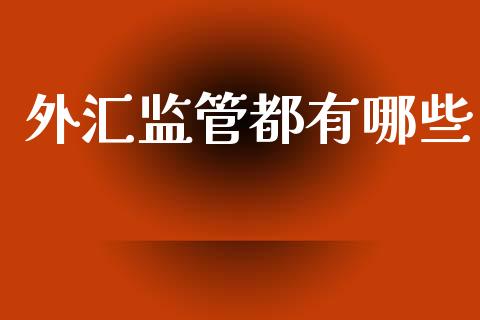 外汇监管都有哪些_https://cj007.lansai.wang_金融监管_第1张