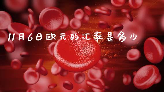 11月6日欧元的汇率是多少_https://cj007.lansai.wang_财经新闻_第1张