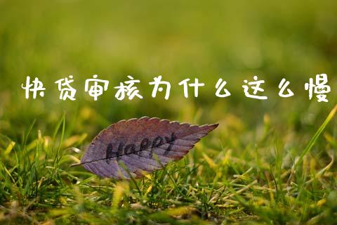 快贷审核为什么这么慢_https://cj007.lansai.wang_债券资讯_第1张