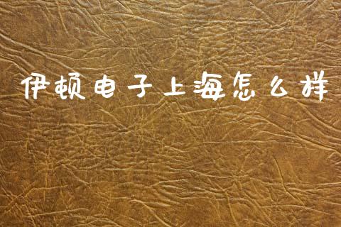 伊顿电子上海怎么样_https://cj007.lansai.wang_债券资讯_第1张