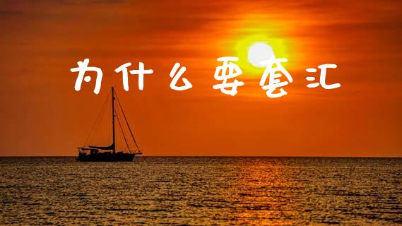为什么要套汇_https://cj007.lansai.wang_外汇交易_第1张