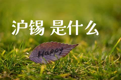 沪锡 是什么_https://cj007.lansai.wang_全球市场_第1张