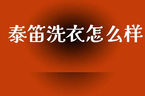 泰笛洗衣怎么样_https://cj007.lansai.wang_外汇交易_第1张