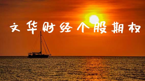文华财经个股期权_https://cj007.lansai.wang_期货开户_第1张
