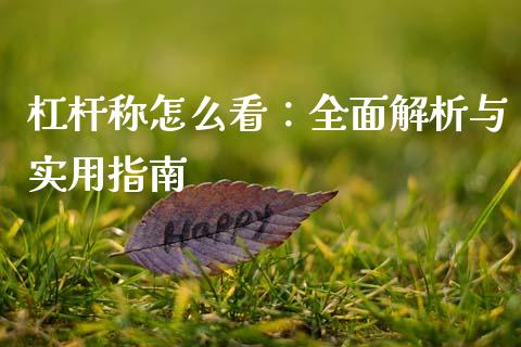 杠杆称怎么看：全面解析与实用指南_https://cj007.lansai.wang_债券资讯_第1张