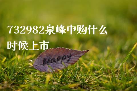 732982泉峰申购什么时候上市_https://cj007.lansai.wang_财经新闻_第1张