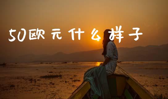 50欧元什么样子_https://cj007.lansai.wang_财经新闻_第1张