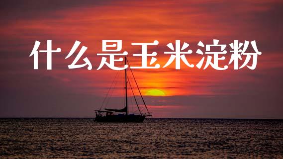 什么是玉米淀粉_https://cj007.lansai.wang_金融监管_第1张