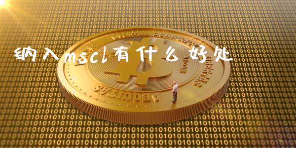 纳入mscl有什么好处_https://cj007.lansai.wang_金融监管_第1张