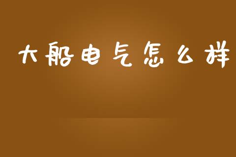 大船电气怎么样_https://cj007.lansai.wang_财经新闻_第1张