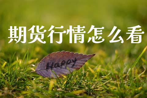 期货行情怎么看_https://cj007.lansai.wang_金融监管_第1张