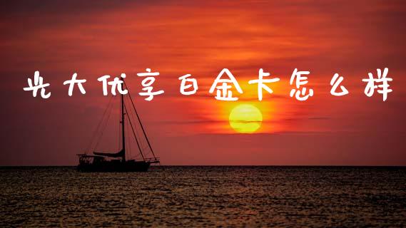 光大优享白金卡怎么样_https://cj007.lansai.wang_外汇交易_第1张