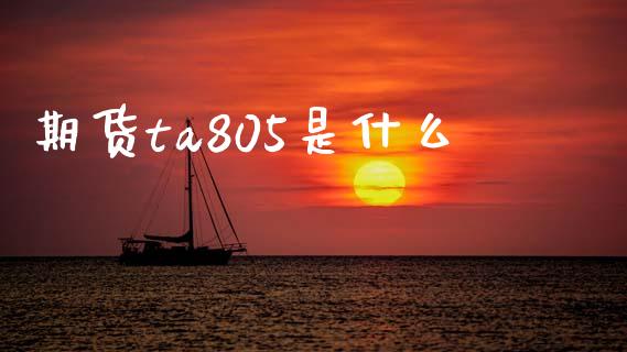 期货ta805是什么_https://cj007.lansai.wang_债券资讯_第1张