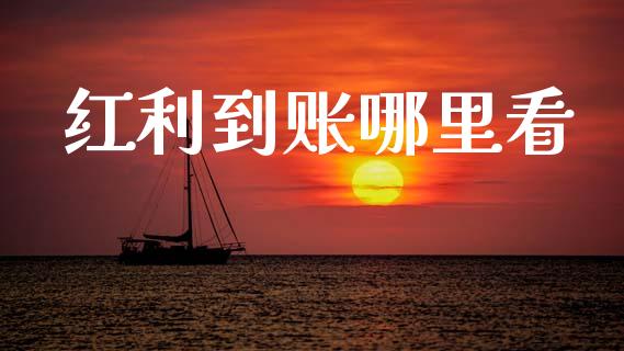 红利到账哪里看_https://cj007.lansai.wang_债券资讯_第1张