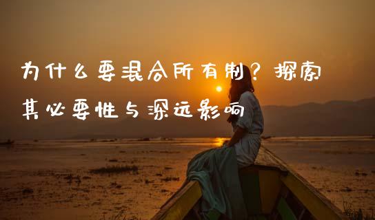 为什么要混合所有制？探索其必要性与深远影响_https://cj007.lansai.wang_债券资讯_第1张