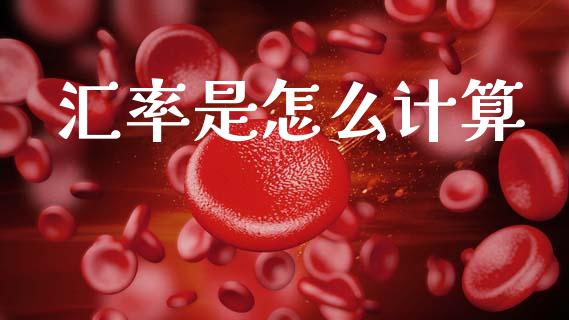 汇率是怎么计算_https://cj007.lansai.wang_外汇交易_第1张