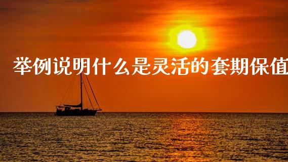 举例说明什么是灵活的套期保值_https://cj007.lansai.wang_外汇交易_第1张