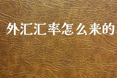 外汇汇率怎么来的_https://cj007.lansai.wang_金融监管_第1张