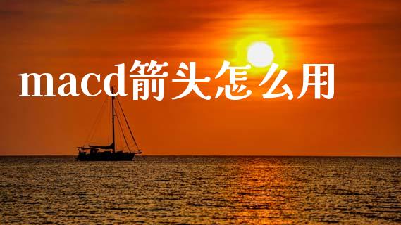 macd箭头怎么用_https://cj007.lansai.wang_金融监管_第1张
