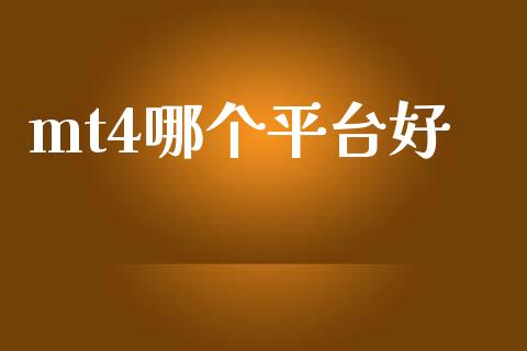 mt4哪个平台好_https://cj007.lansai.wang_金融监管_第1张