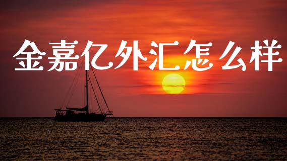 金嘉亿外汇怎么样_https://cj007.lansai.wang_外汇交易_第1张