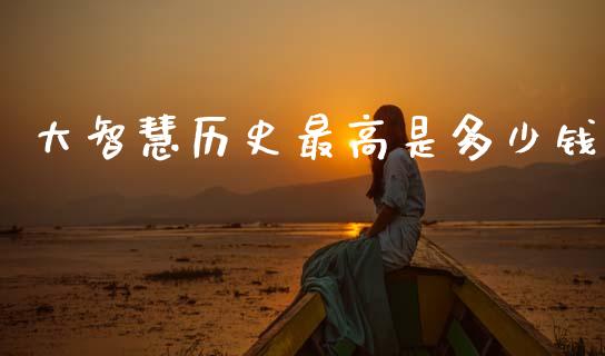 大智慧历史最高是多少钱_https://cj007.lansai.wang_财经新闻_第1张