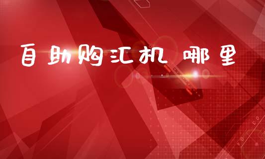 自助购汇机 哪里_https://cj007.lansai.wang_债券资讯_第1张