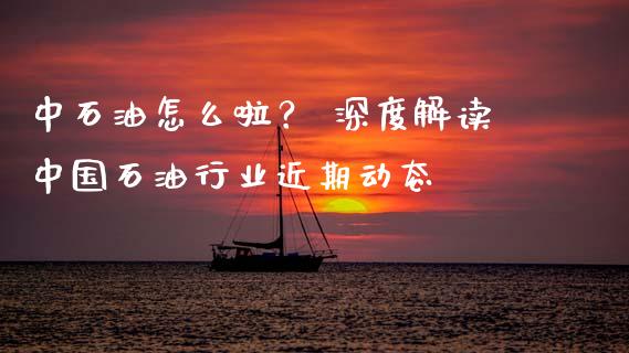 中石油怎么啦？ 深度解读中国石油行业近期动态_https://cj007.lansai.wang_债券资讯_第1张